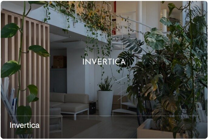 Ver Detalles del Proyecto